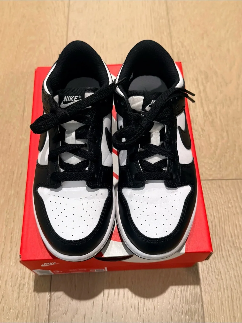 Nike Kids Dunk Low Sneakers 3Y